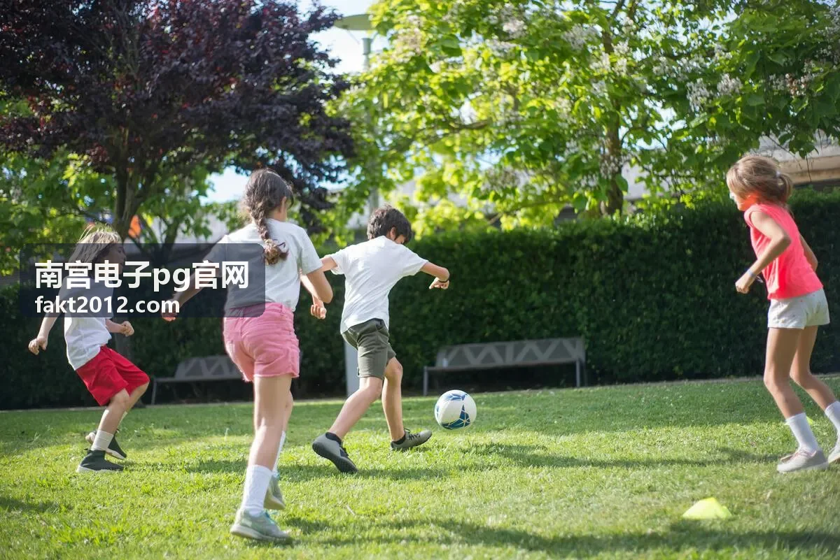 南宫电子pg官网 新品上架内容发布一览